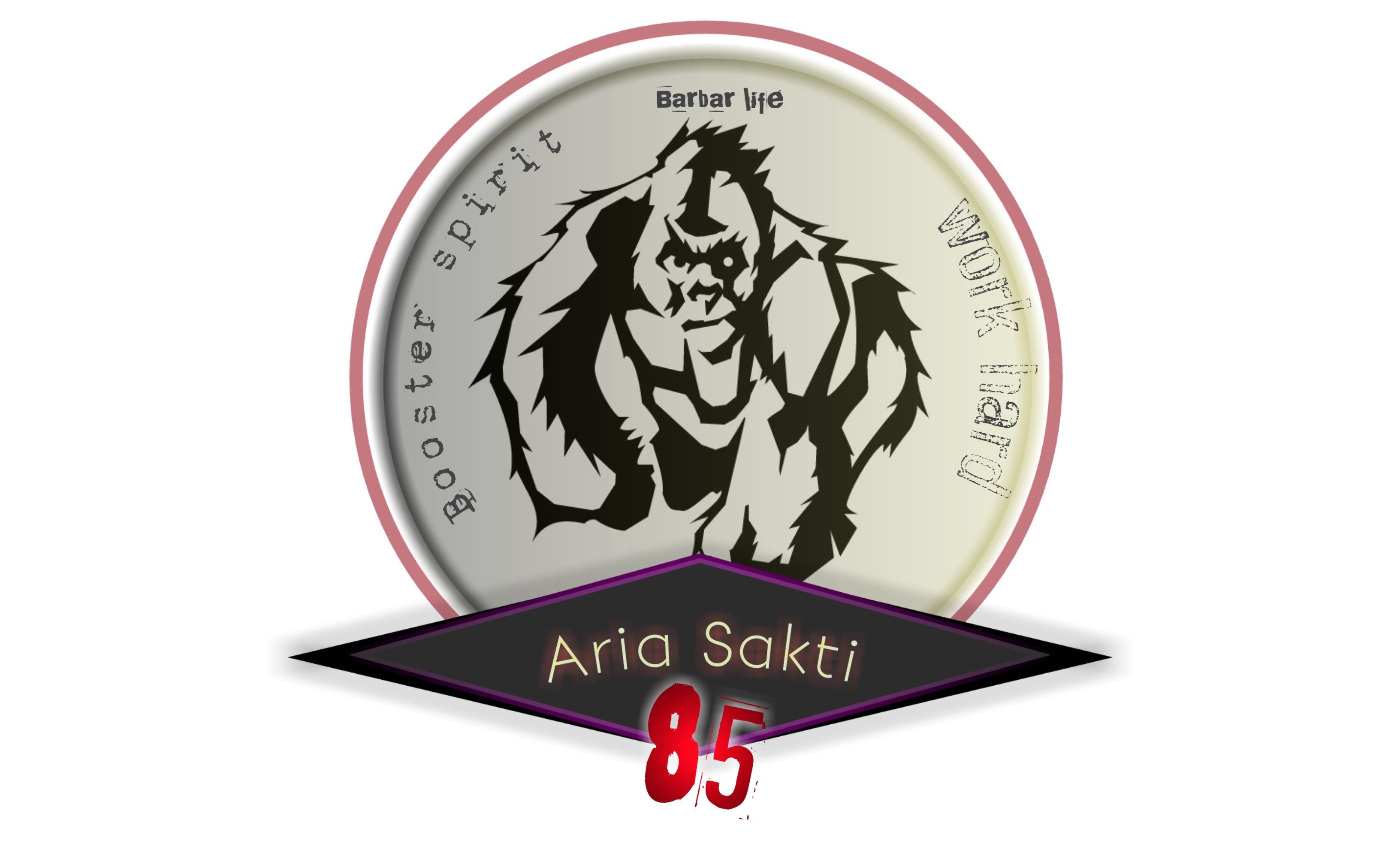 ARIA SAKTI85
